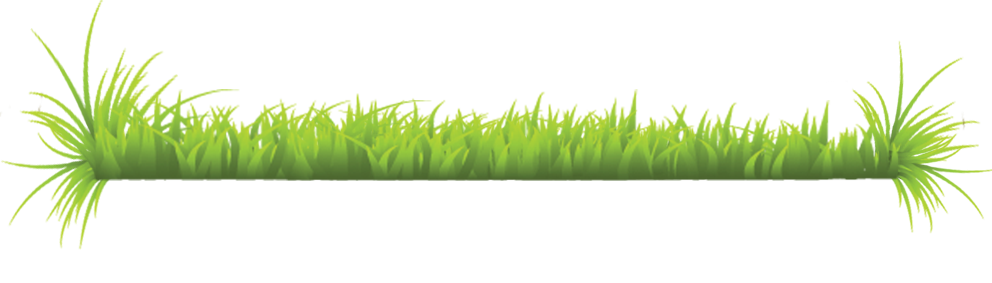 Menu Potes y pucheros sayagueses